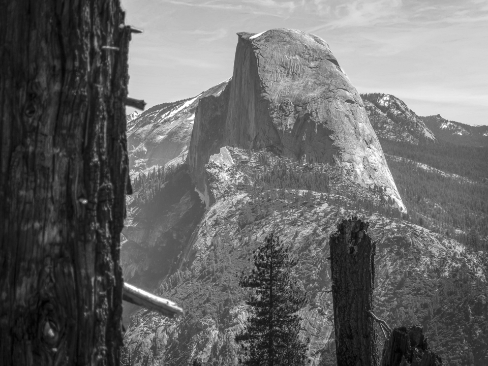 Half Dome Monochrome - Yosemite NP