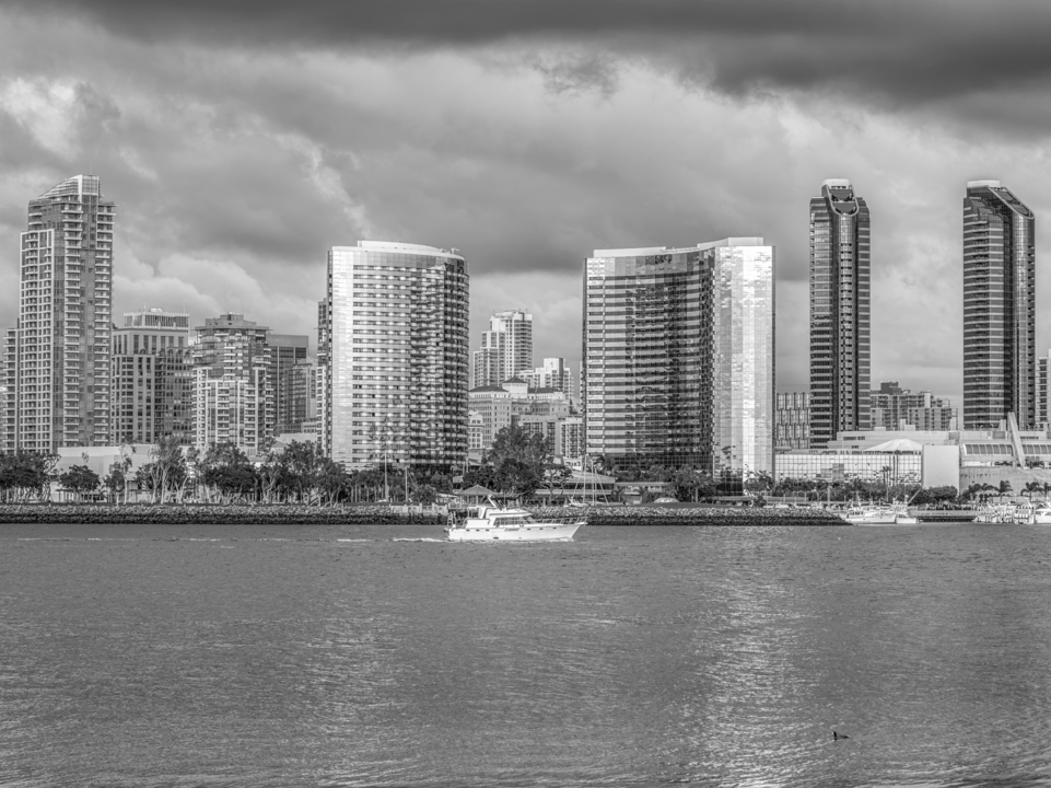 Silver Buildings - San Diego Skyline Monochrome 