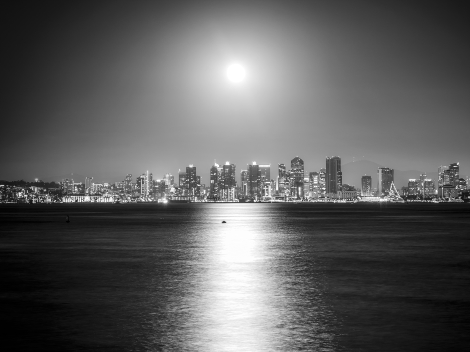 Moonlit City Skyline Monochrome - San Diego 