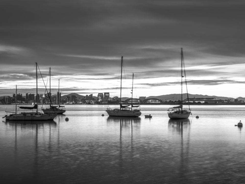 Serene Sailboats Monochrome - San Diego