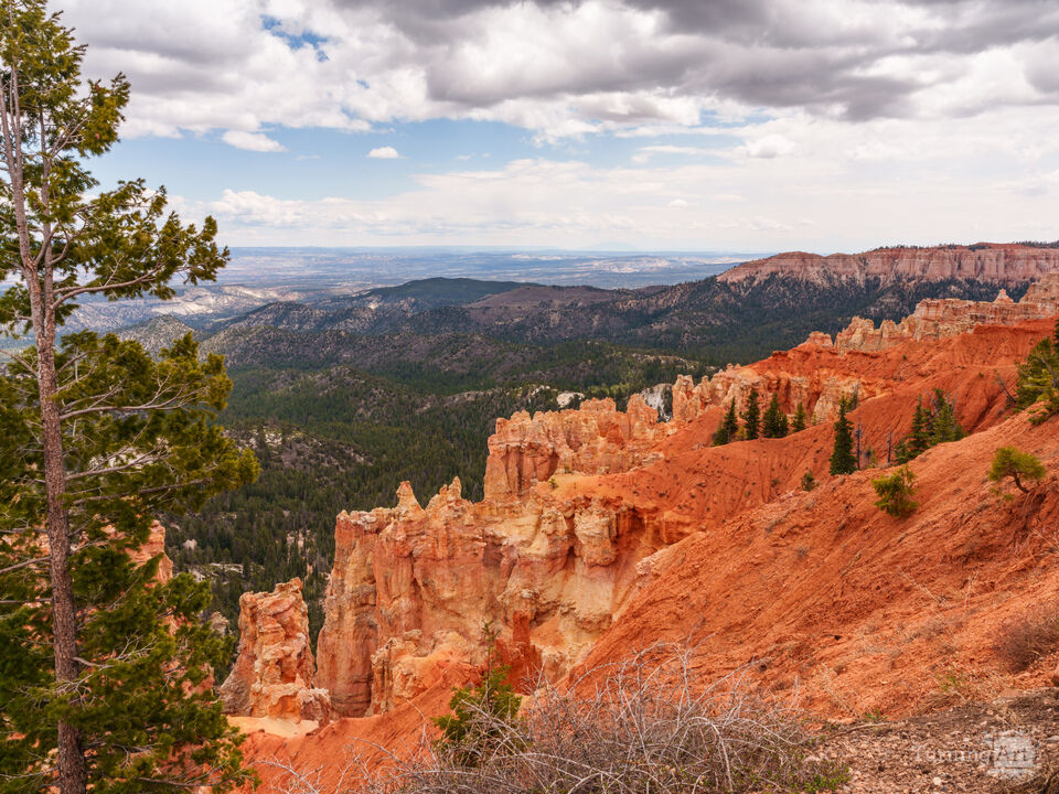 Ponderosa Point View Bryce Canyon