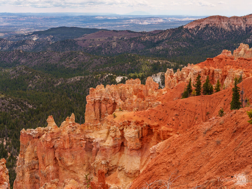 Hoodoo Layers Ponderosa Point Bryce Canyon