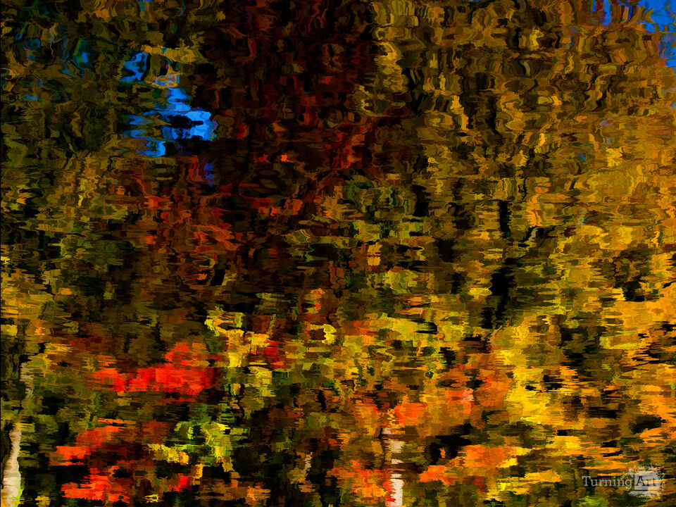 Fall Reflections