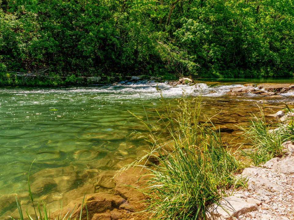 Grass And Cascades Roaring River