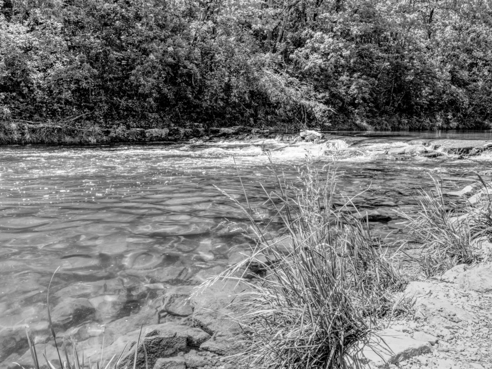 Grass And Cascades Roaring River Grayscale