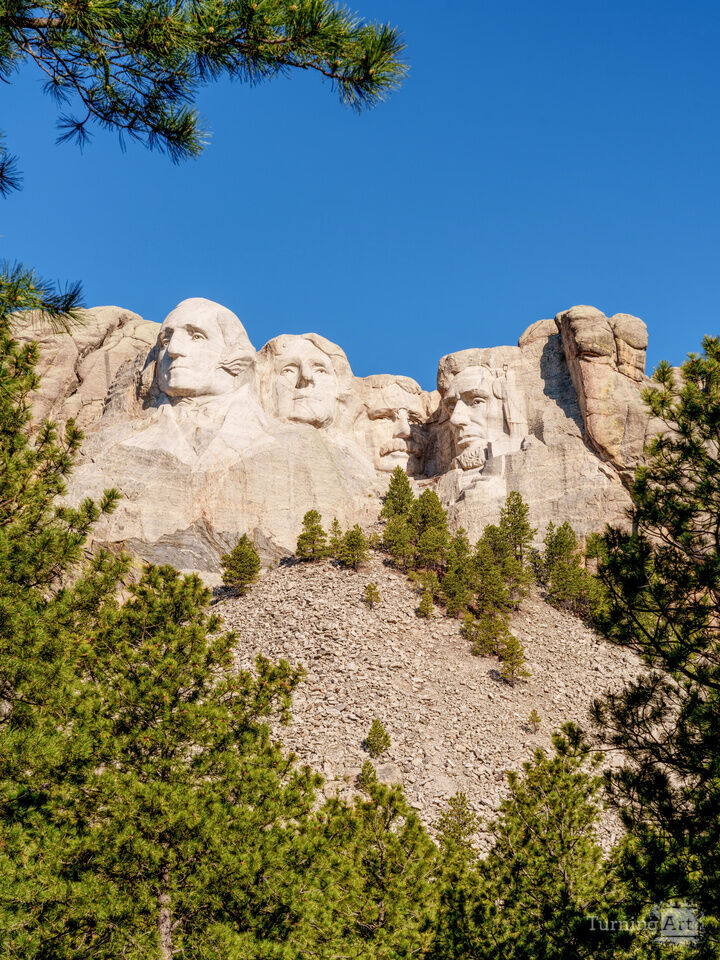 Mount Rushmore Framed By Trees Vertical