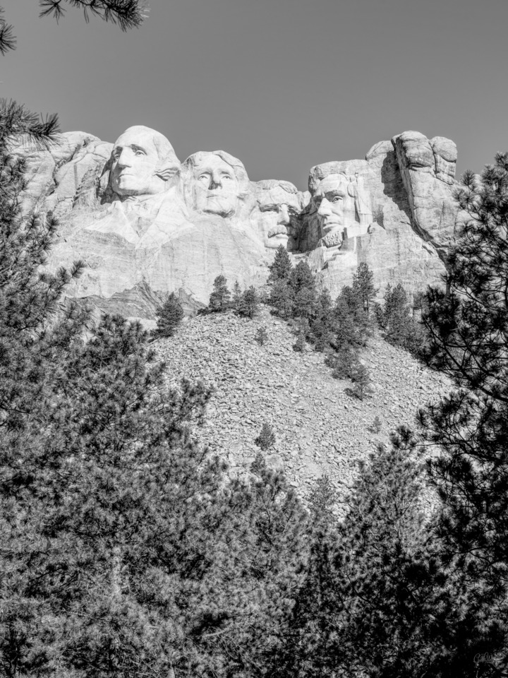 Mount Rushmore Framed By Trees Vertical Grayscale