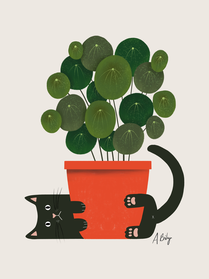 Plants are Friends
