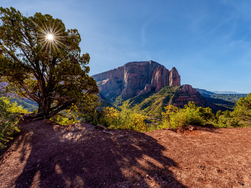 Rays Of Morning Zion National Park