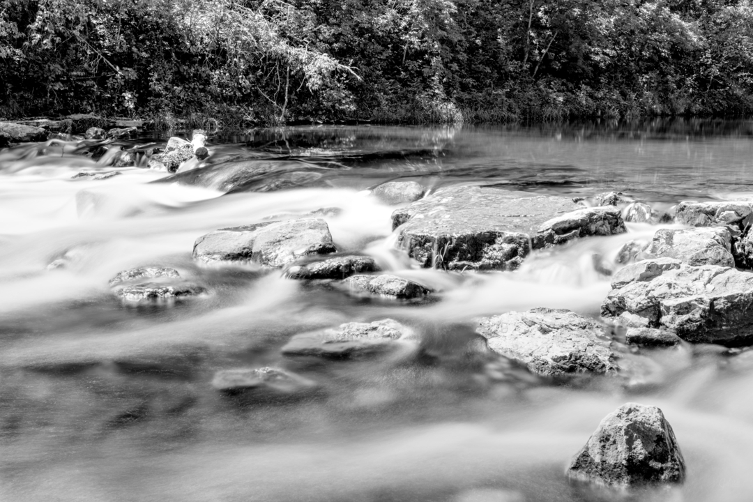 Roaring River Spring Waters And Falls Grayscale