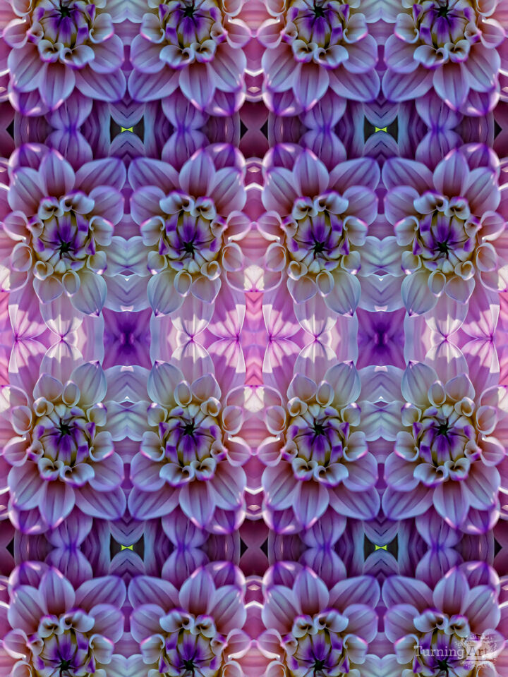 Floral Pattern