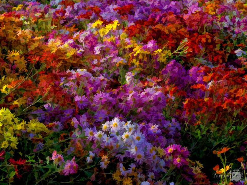 Fall 2010