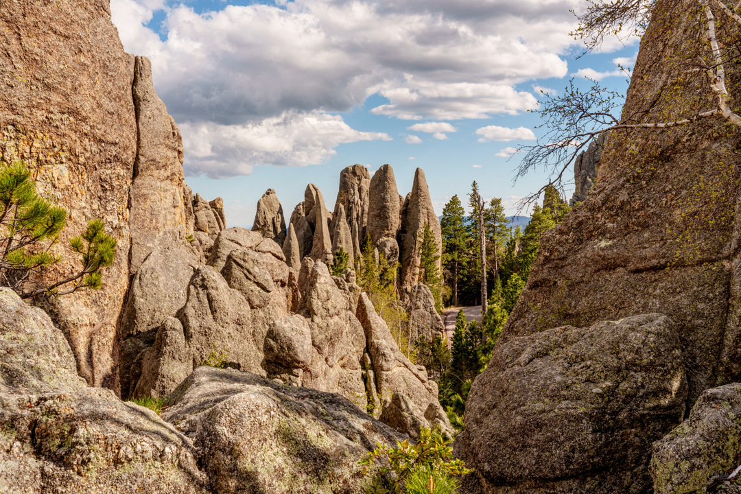 Needles Of The Black Hills