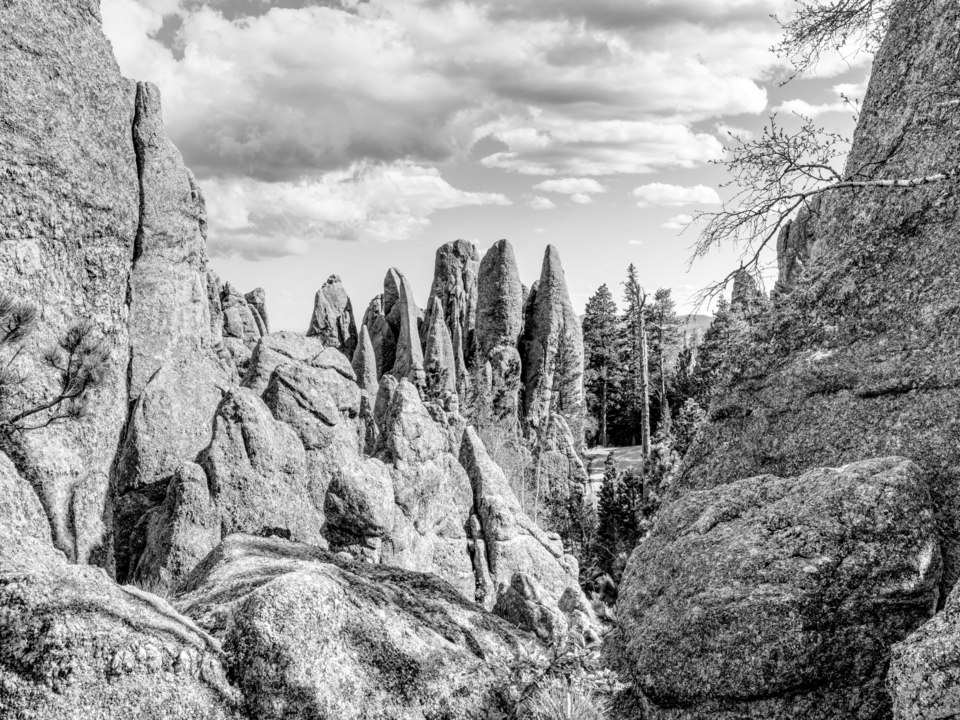 Needles of the Black Hills Grayscale