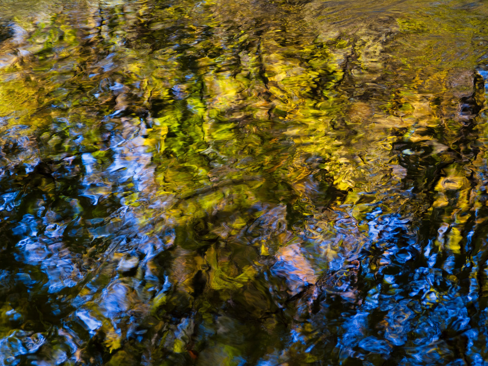 Spring Tree Reflected in a small Brook