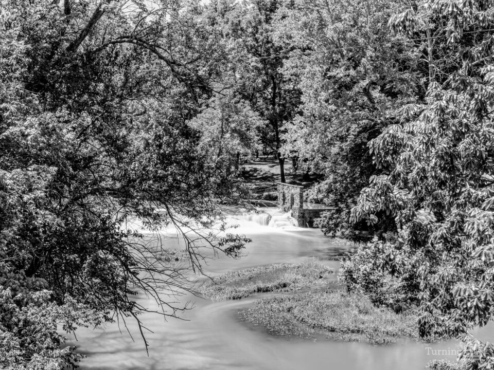 Remains Of Dilday Mill Grayscale