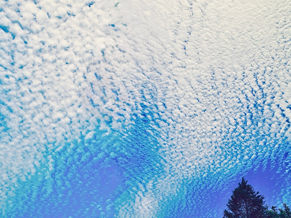 Altocumulus II