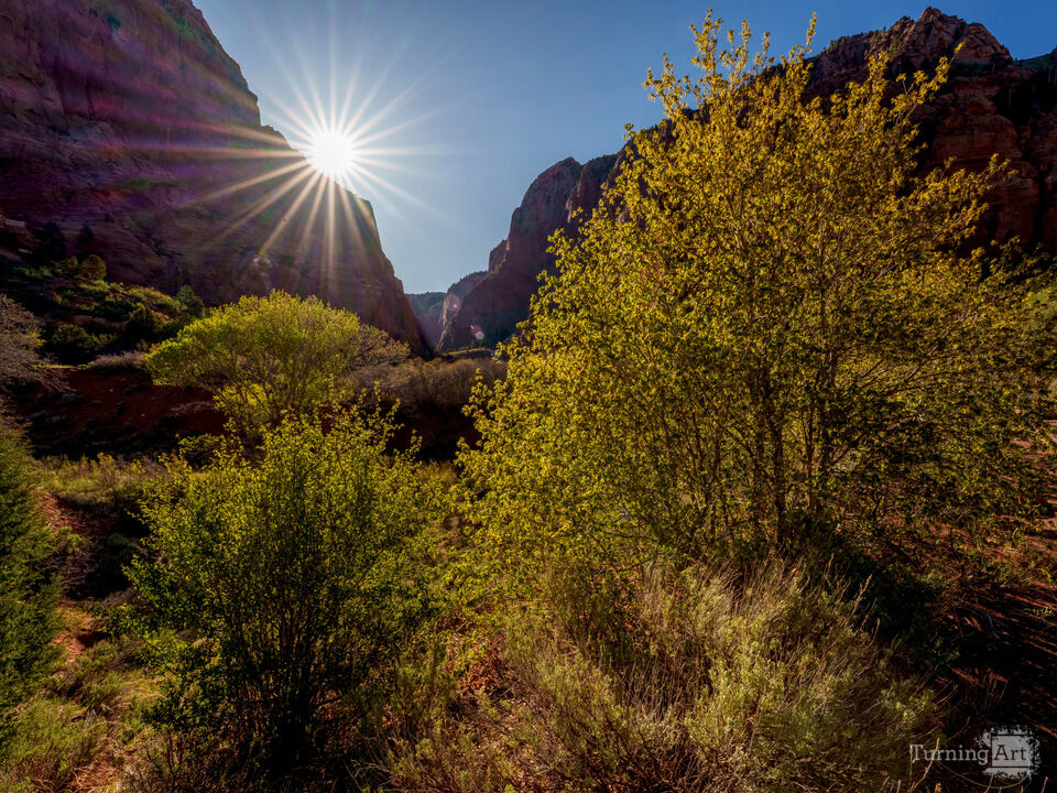 Lee Pass Kolob Canyon Morning Sunburst