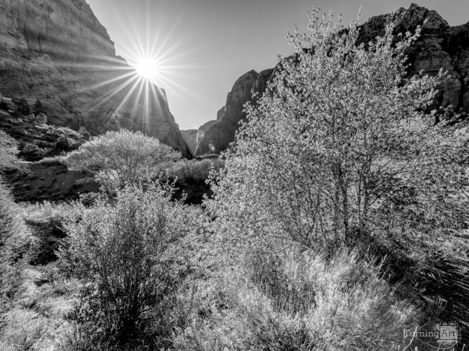 Lee Pass Kolob Canyon Morning Sunburst Grayscale