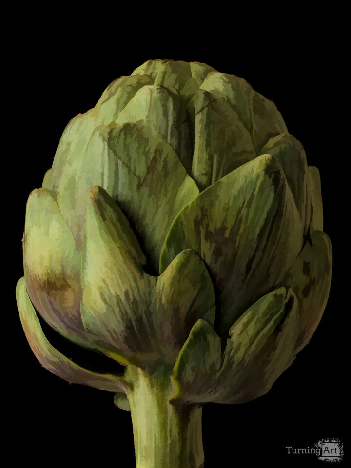 Artichoke