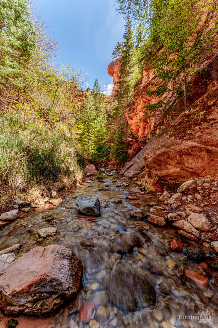 Flowing Waters Of Spring Creek Canyon