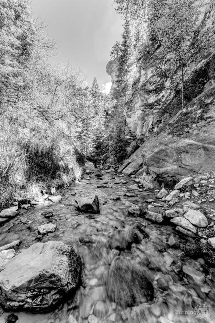 Flowing Waters Of Spring Creek Canyon Grayscale