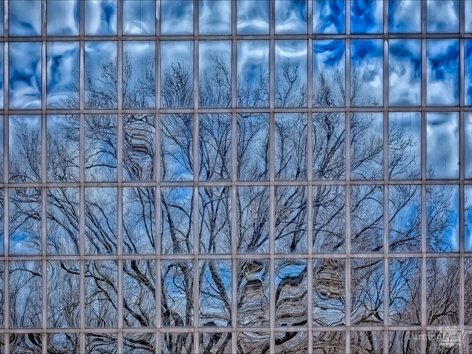 Reflected Park 