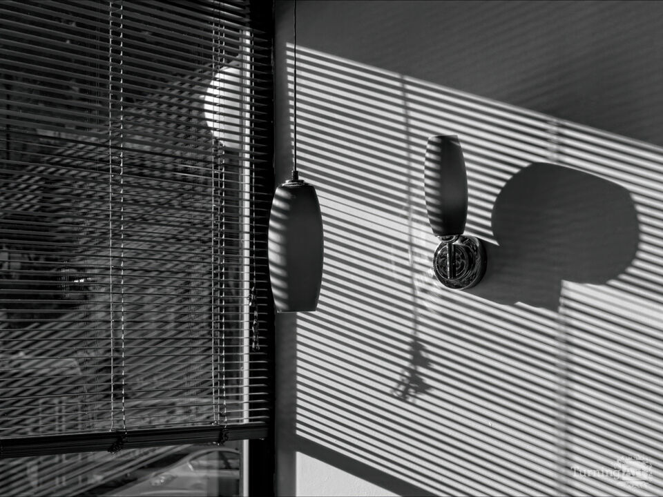 Shadows 