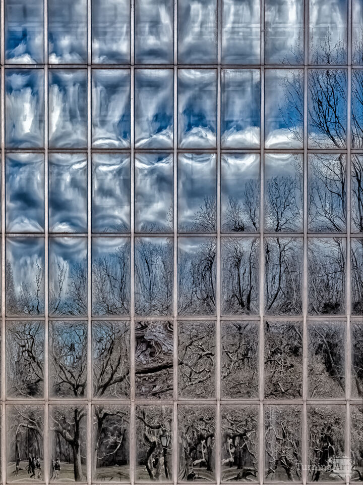 Reflected Park