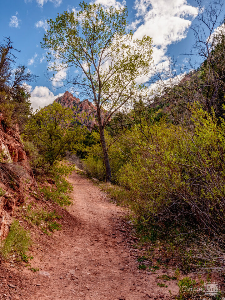 Trail To Utah Red Rock Country