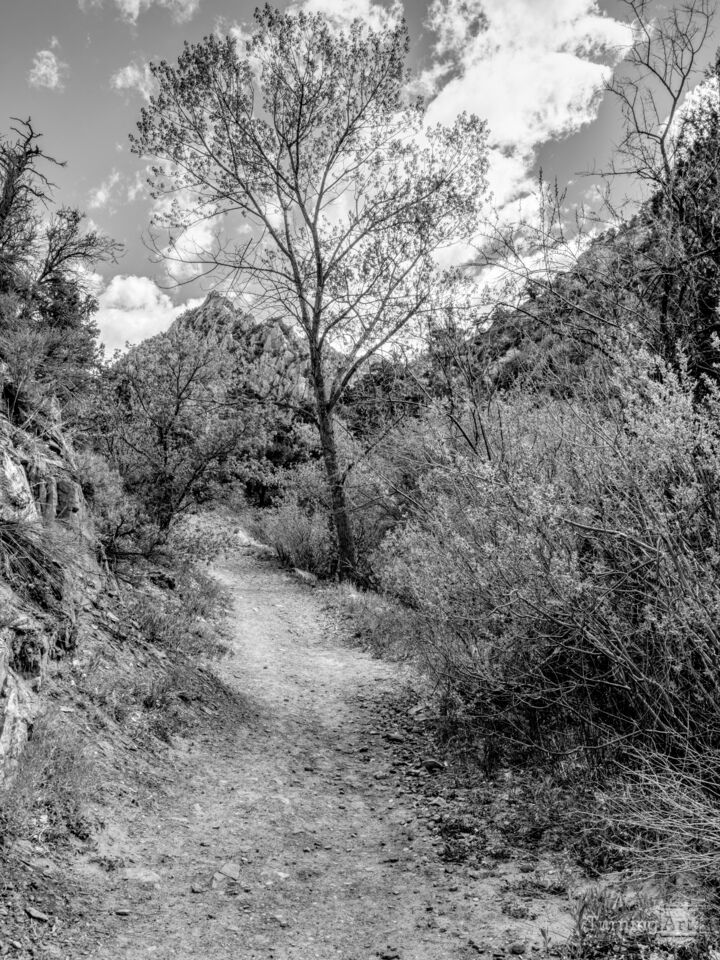 Trail To Utah Red Rock Country Grayscale