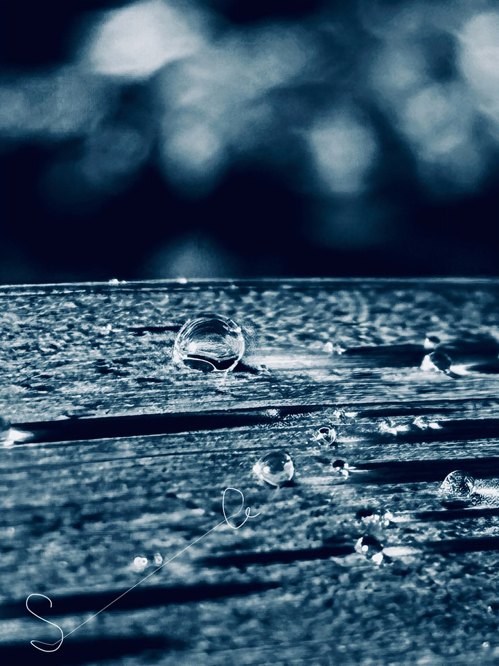 See The World In A Drop