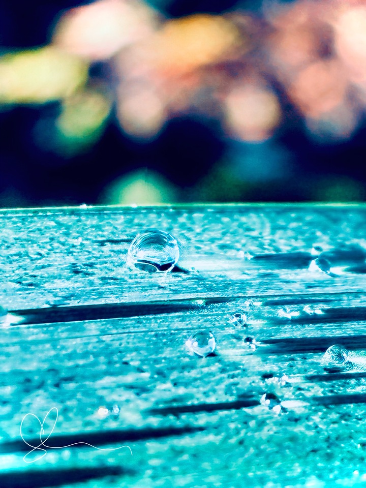 The World In A Drop