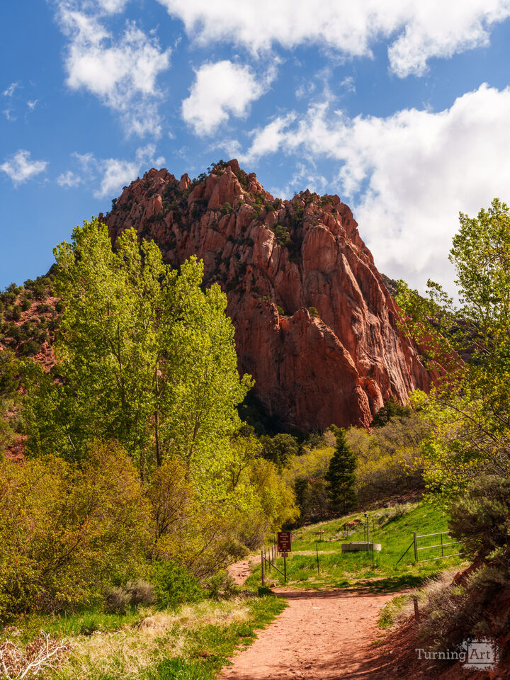 Kanarra Falls Trail Beauty