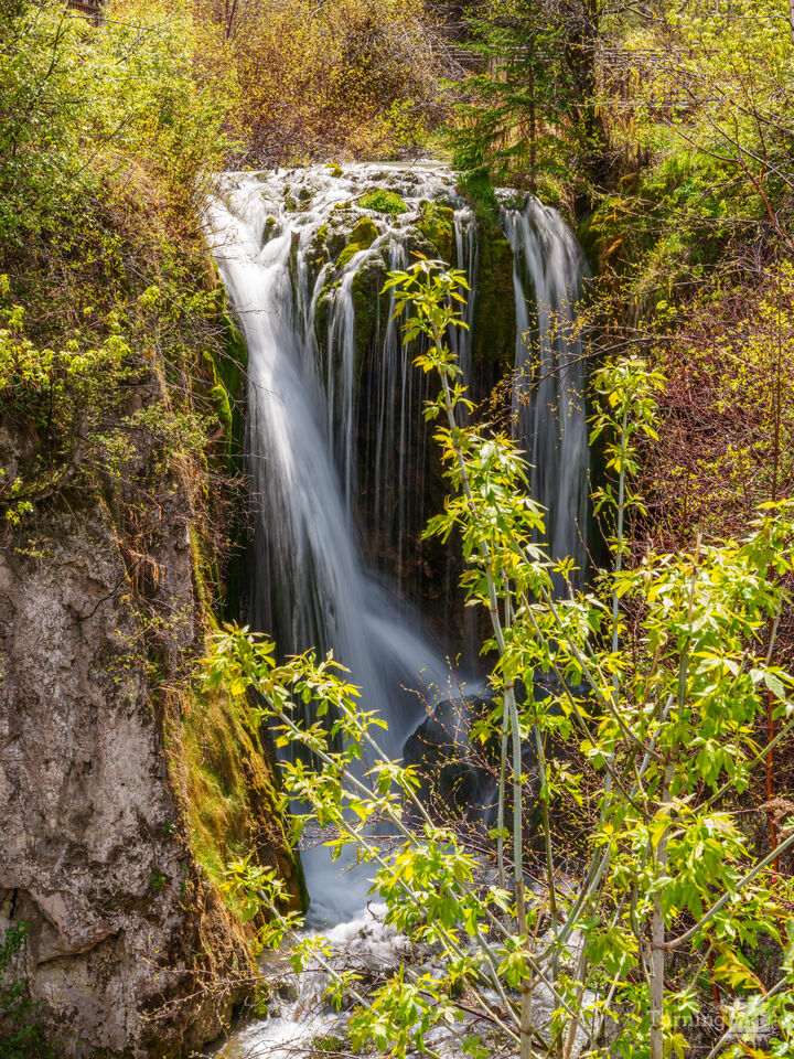 Roughlock Falls South Dakota