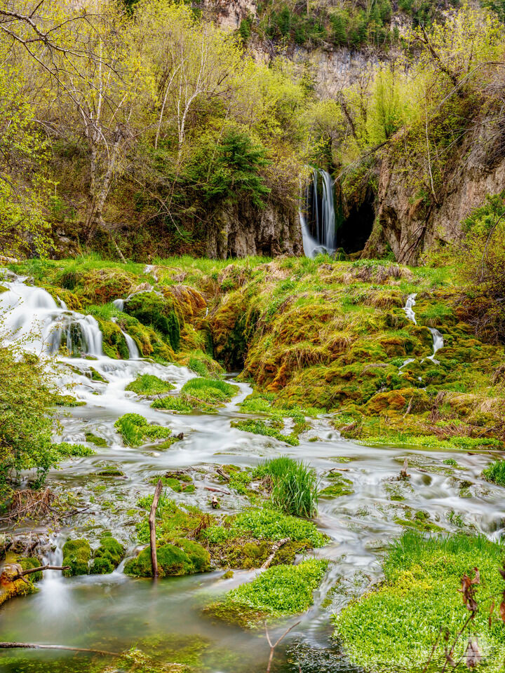 Roughlock Falls South Dakota Vertical