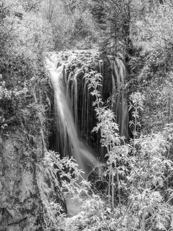 Roughlock Falls South Dakota Vertical Grayscale