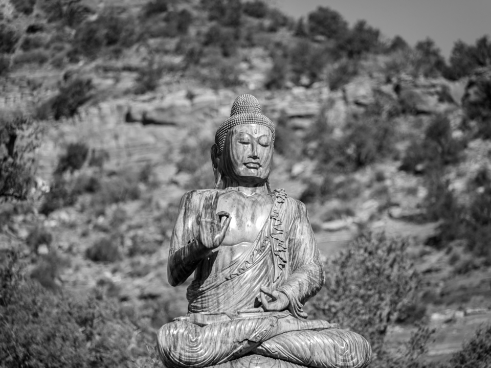 Buddha Statue in Natural Setting