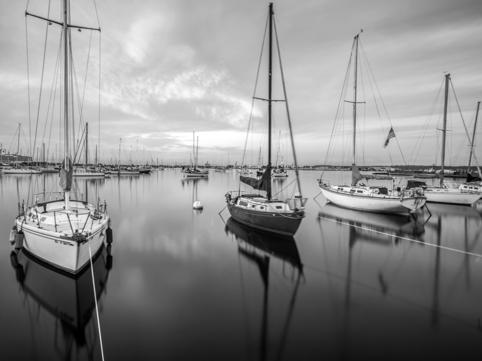 Moored Sailboats Monochrome - San Diego Harbor 