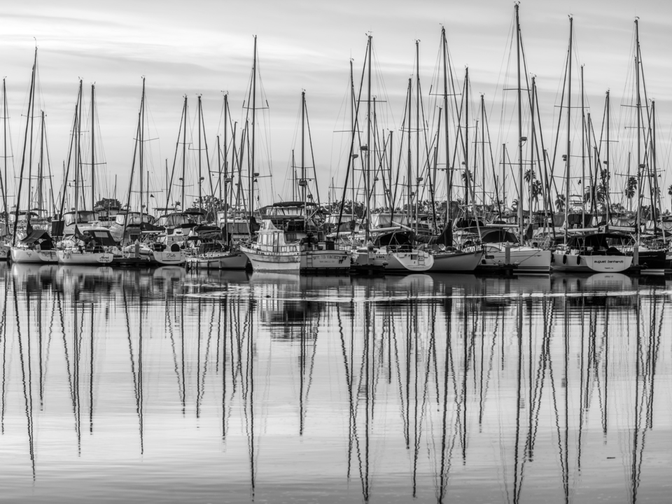 Sailboats Reflected in Harbor - Classic Black and White