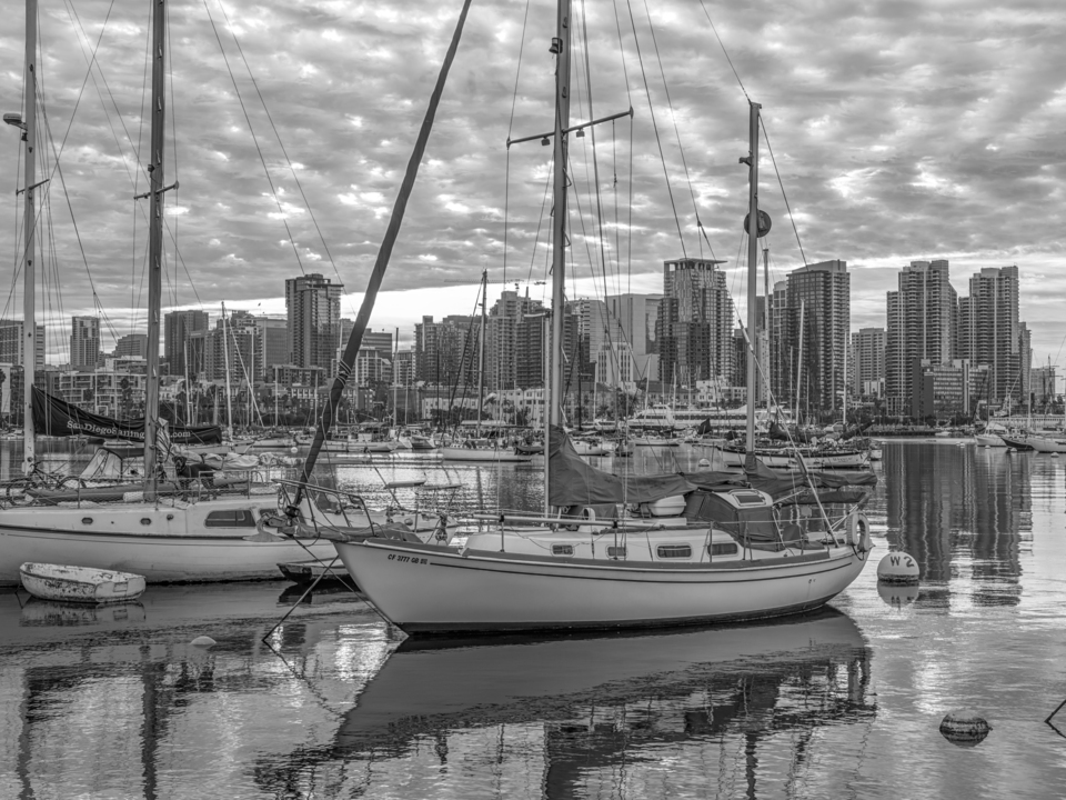Serene City Harbor Monochrome - San Diego California
