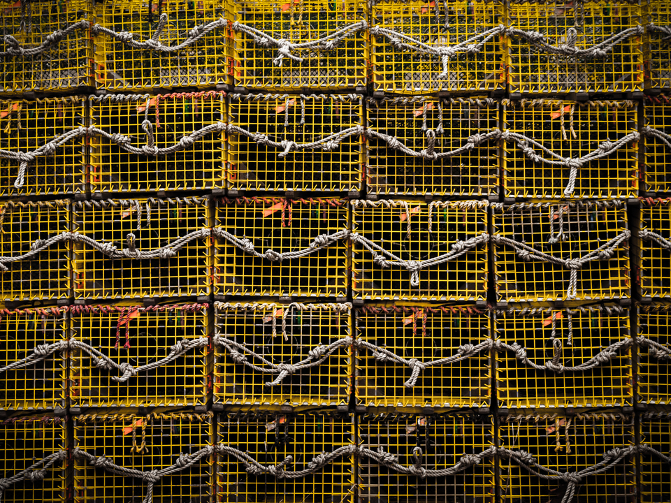 Lobster Traps