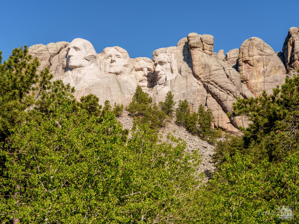 Mount Rushmore Above Black Hills Forest