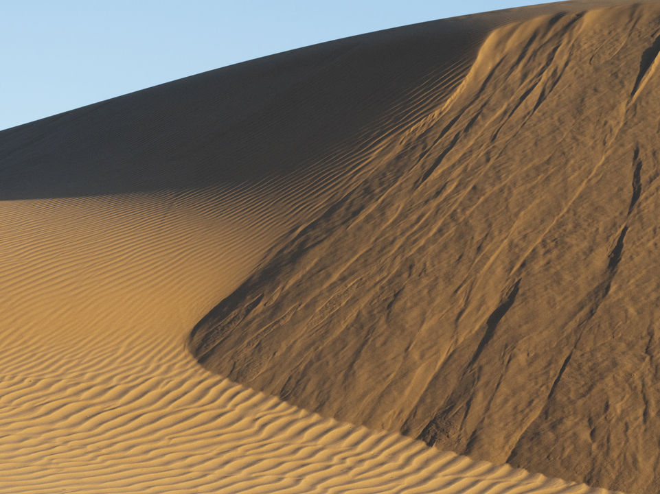 Dune 