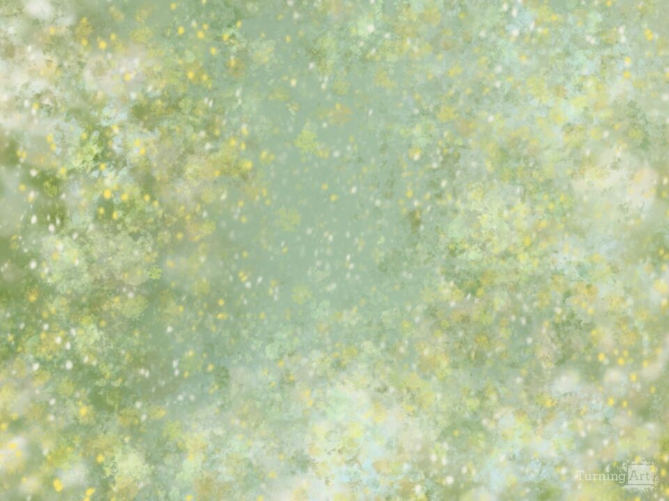 Snow in Summer