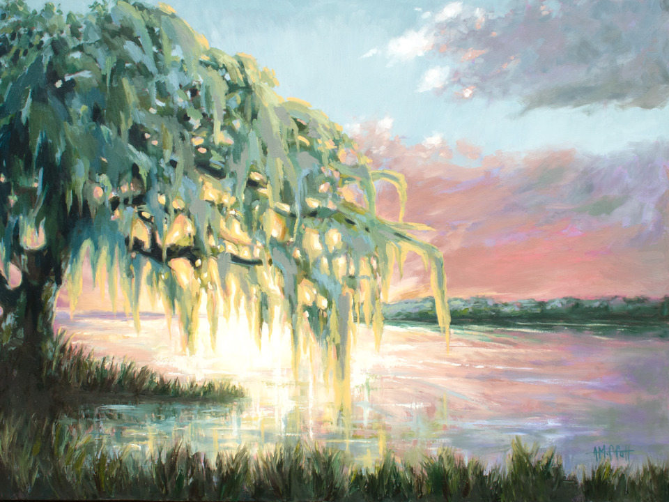 Middleton Oak at Sunset