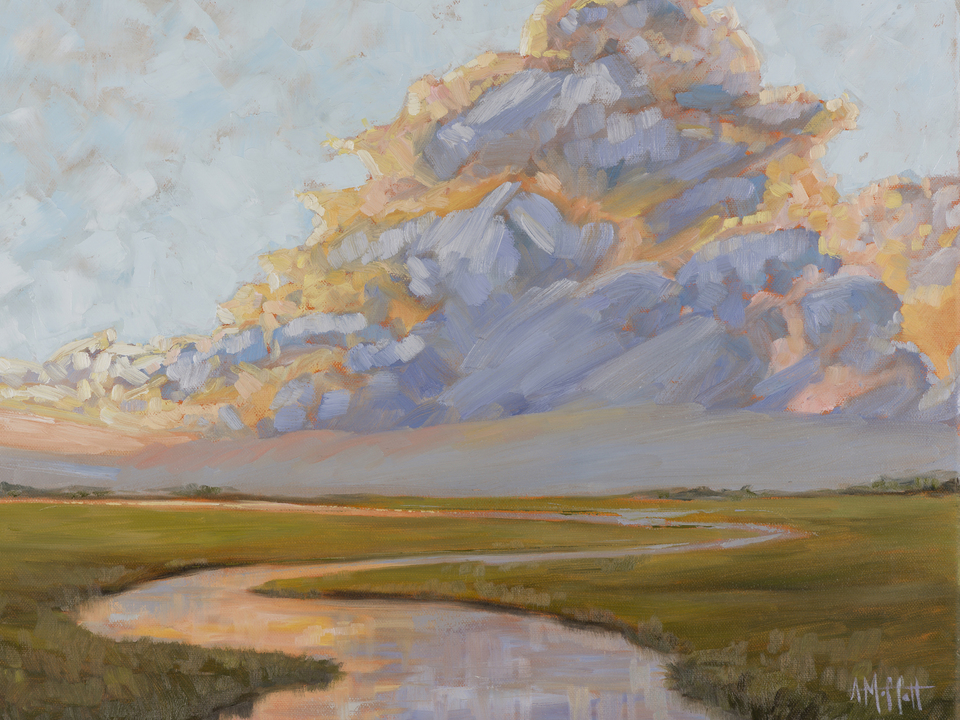Thunderclouds over the Marsh