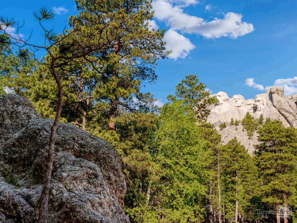 Nature Surrounded Mount Rushmore