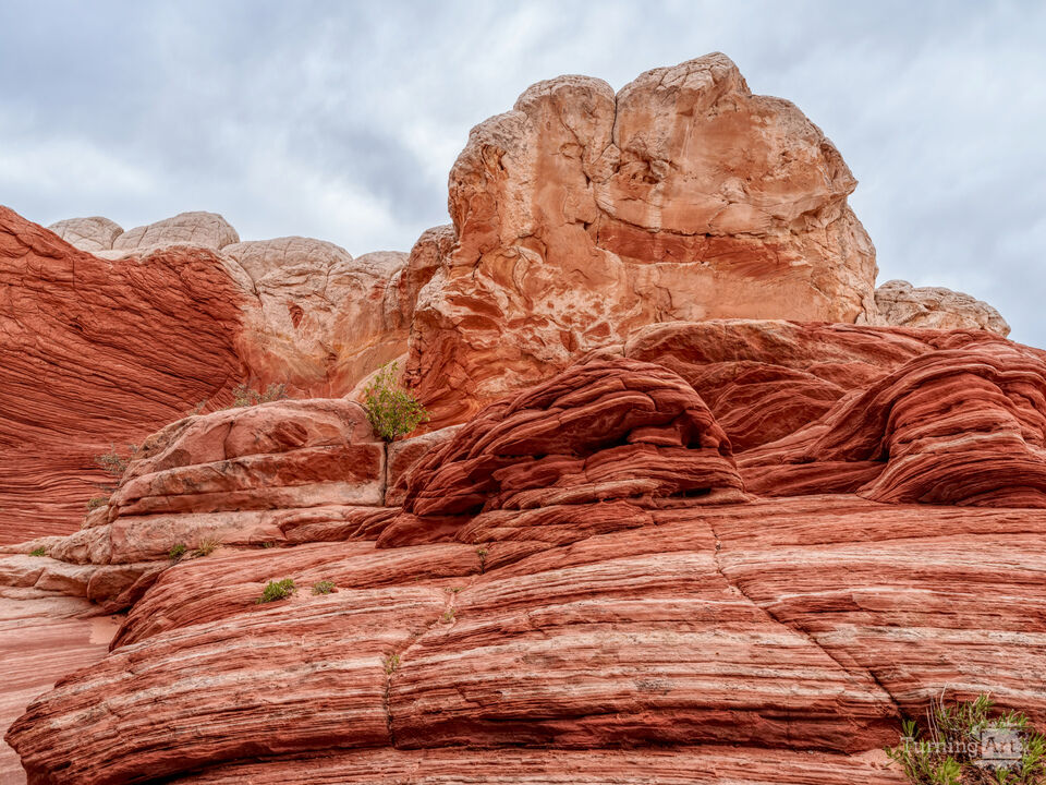 Bold Rock Formations White Pocket
