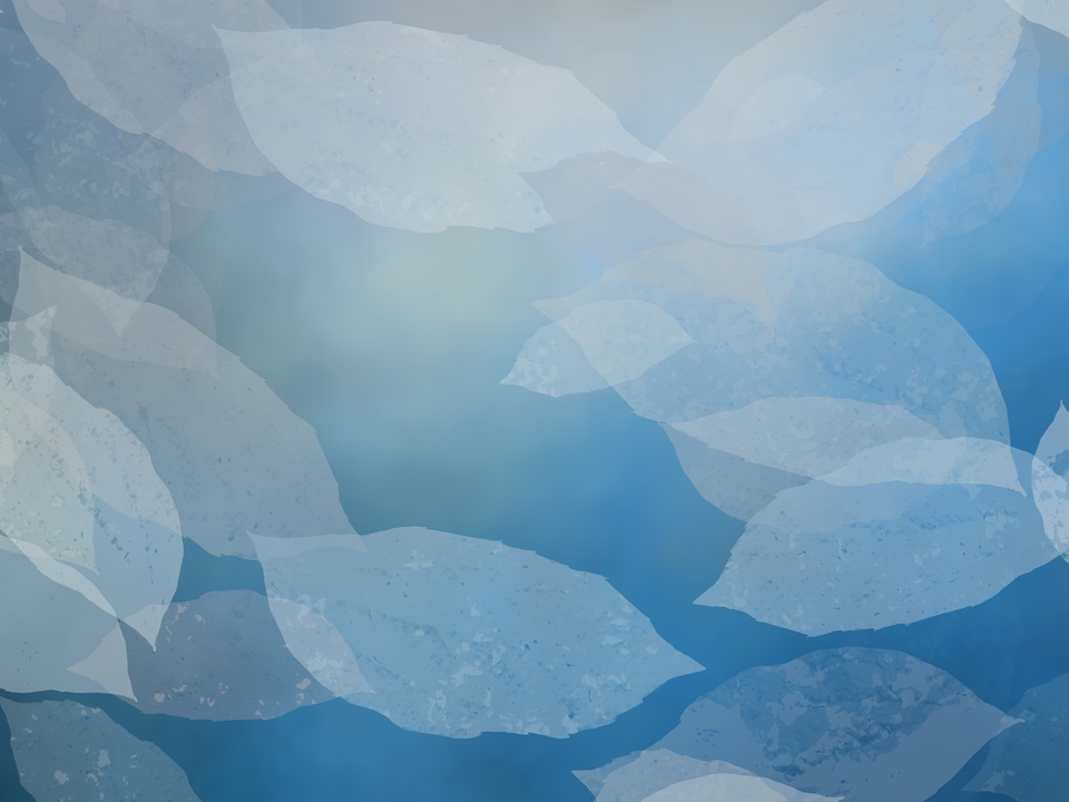 Fallen White Leaves in a River